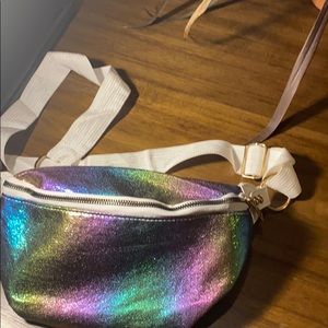 purse / Fanny pack